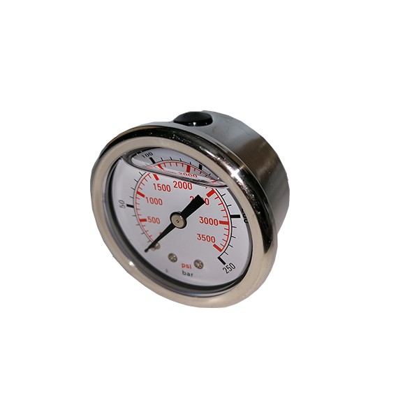 Pressure gauge DN 50 - 250 bar 1/4  M Back