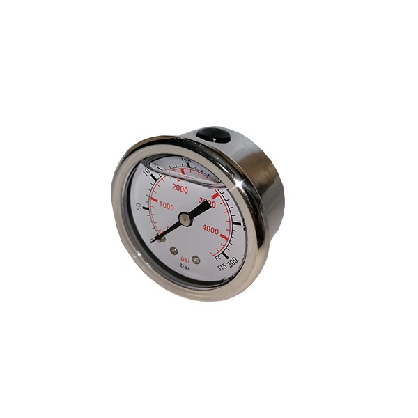 Pressure gauge DN 50 - 315 bar 1/4  M Back