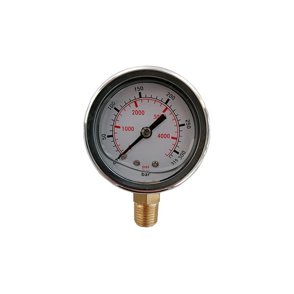 Manometer NW 50 - 315 bar 1/4  AG ausgang unten