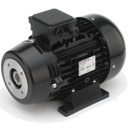 Electric Motor 400V 7,5kW - with flexible coupling