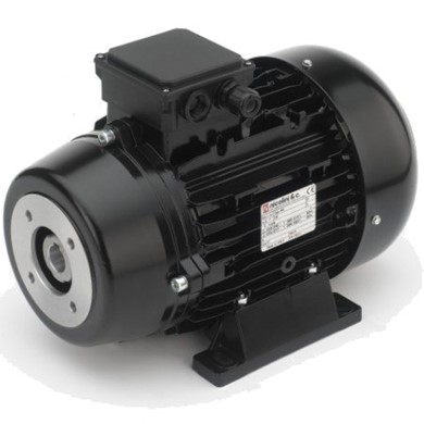 Electric Motor 400V 5,5kW - with flexible coupling