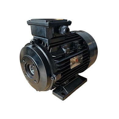 Electric Motor B 400V 5,5kW H112 - without shaft