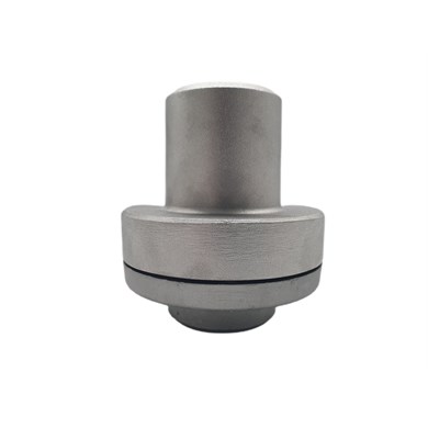 Flexible coupling IP ZG202 - WS201, WS202 (24-38)