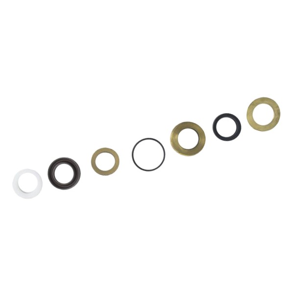 Seals kit DN18 INTERPUMP KIT277