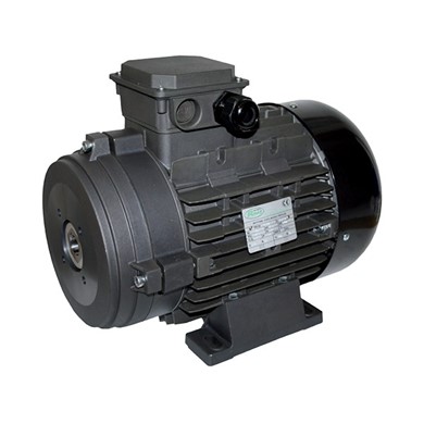 Electric Motor 400V 5,5kW - with flexible coupling