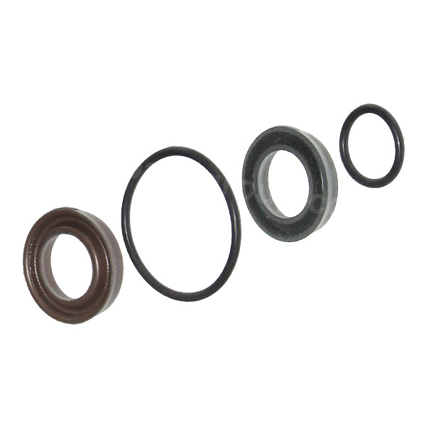 Seals kit LAVOR DN15 L109