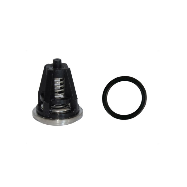 Sada ventily INTERPUMP KIT62