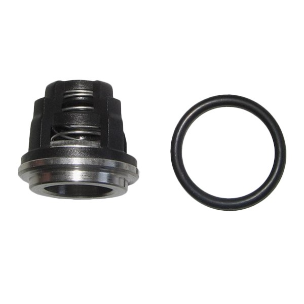 Sada ventily ANNOVI KIT42169